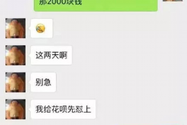 龙南为什么选择专业追讨公司来处理您的债务纠纷？